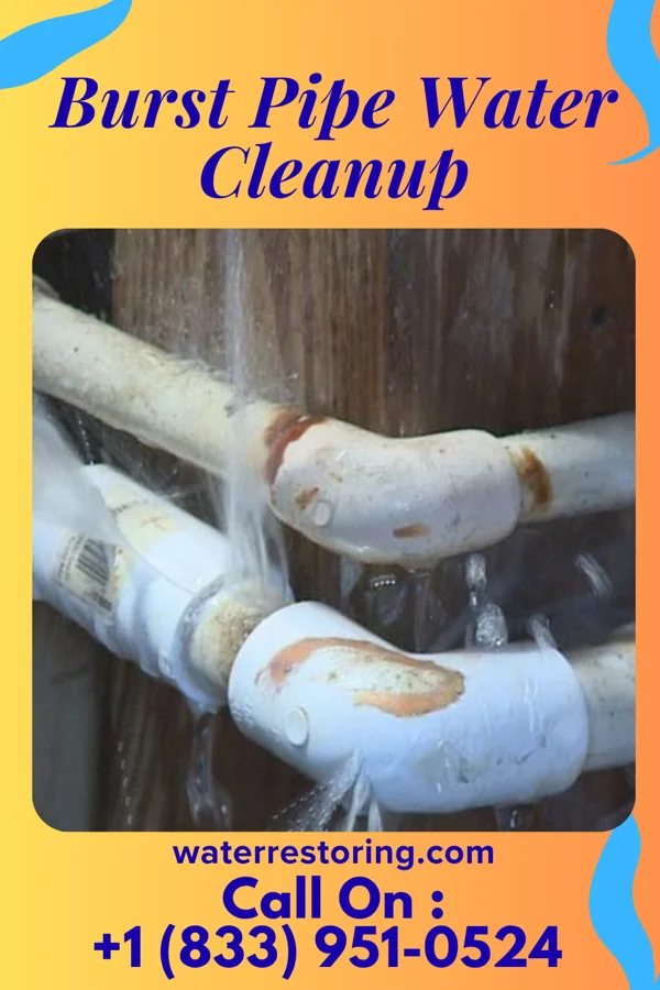 Burst Pipe Water Cleanup in Mount Joy, PA
