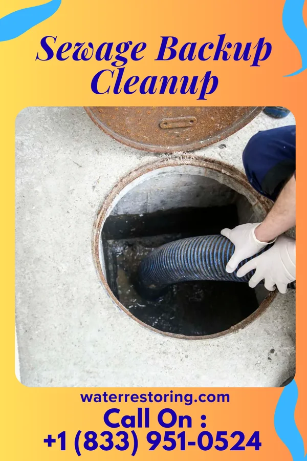 Sewage Backup Cleanup in Mount Joy, PA