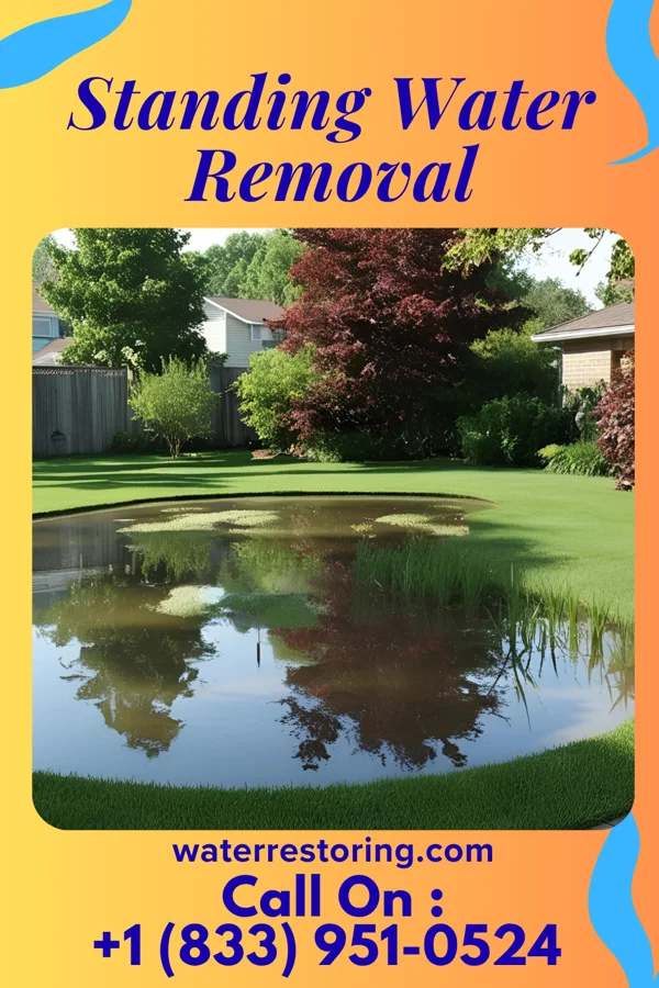 Standing Water Removal in Mount Joy, PA